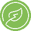 Precious Clean Energy logo