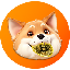 Bonkcon logo