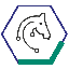 GHHS Healthcare logo