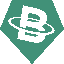 USD BIT logo
