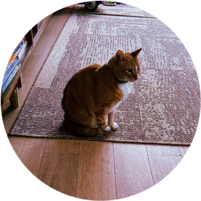Ansem's Cat logo