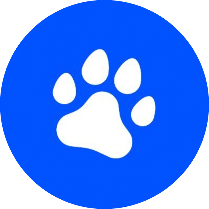 Base Terminal logo