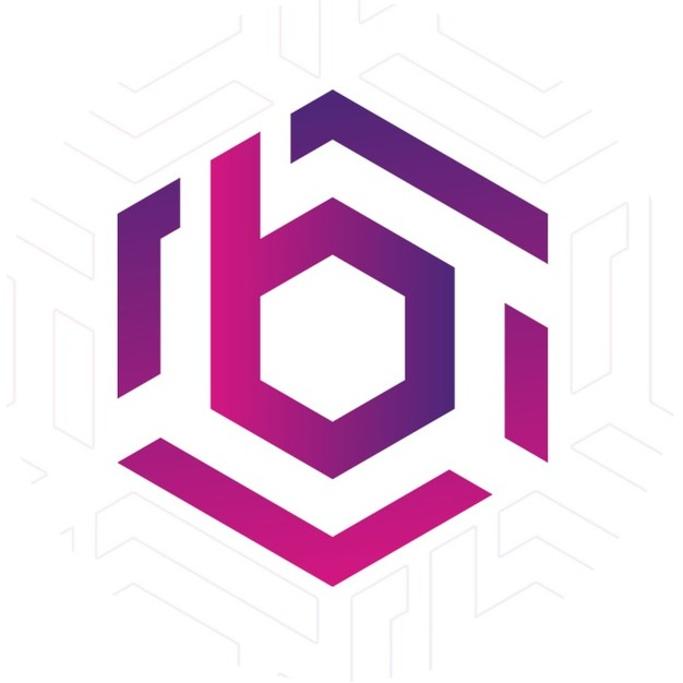 BHO Network logo