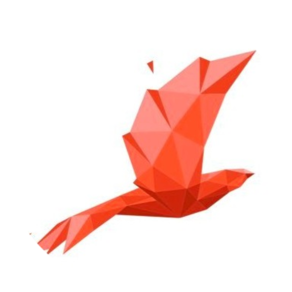 Bird.Money logo