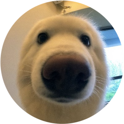 Boop logo