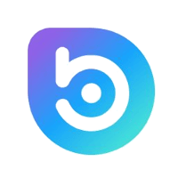 BORA logo
