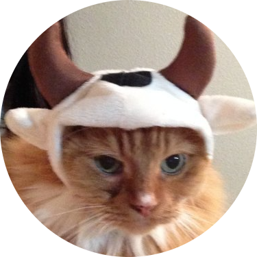bullish logo