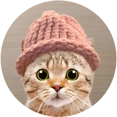CatWifHat logo