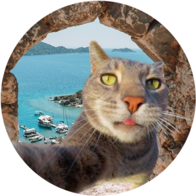 CATOUR logo