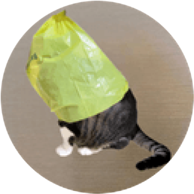 catwifbag logo