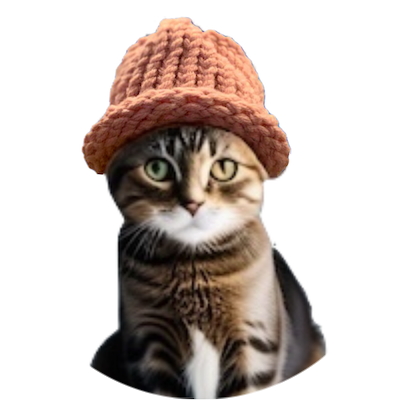 catwifhat logo