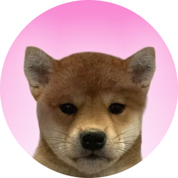 Cat Own Kimono logo