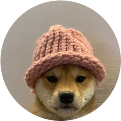 dogwifhat (ETH) logo