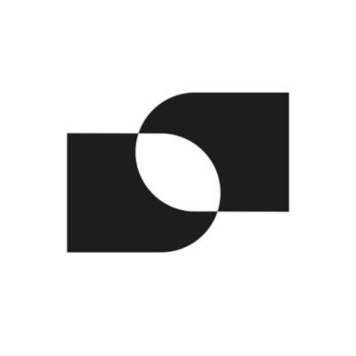 Duel Network logo