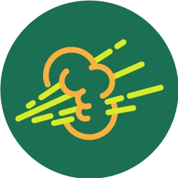 FartStrategy logo