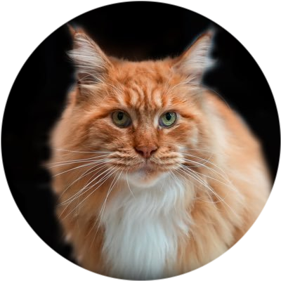 FAT CAT logo