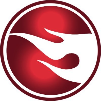 FusedNFurious logo