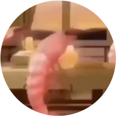 its as shrimple as that logo