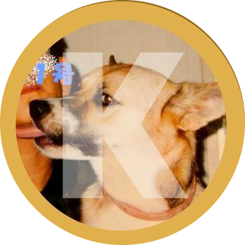 Ken logo