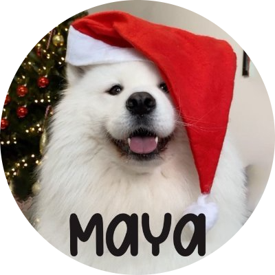Maya logo