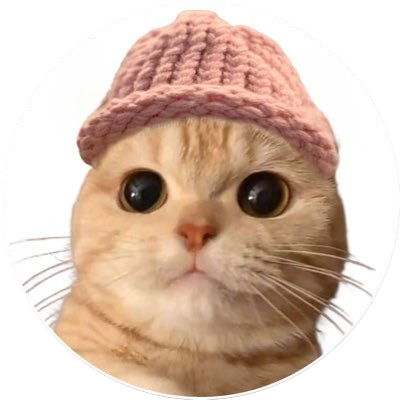 Meowifhat logo