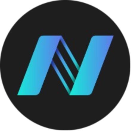 NerveNetwork logo