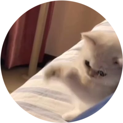 ONE PUNCH CAT logo
