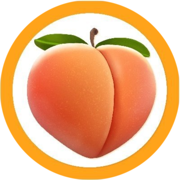 PORNROCKET logo