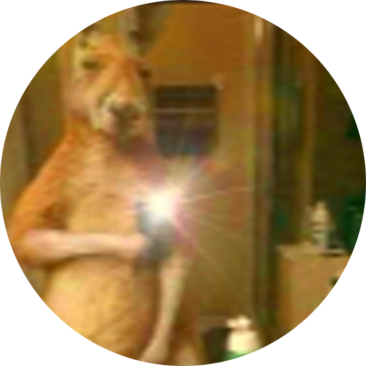 SERCY logo