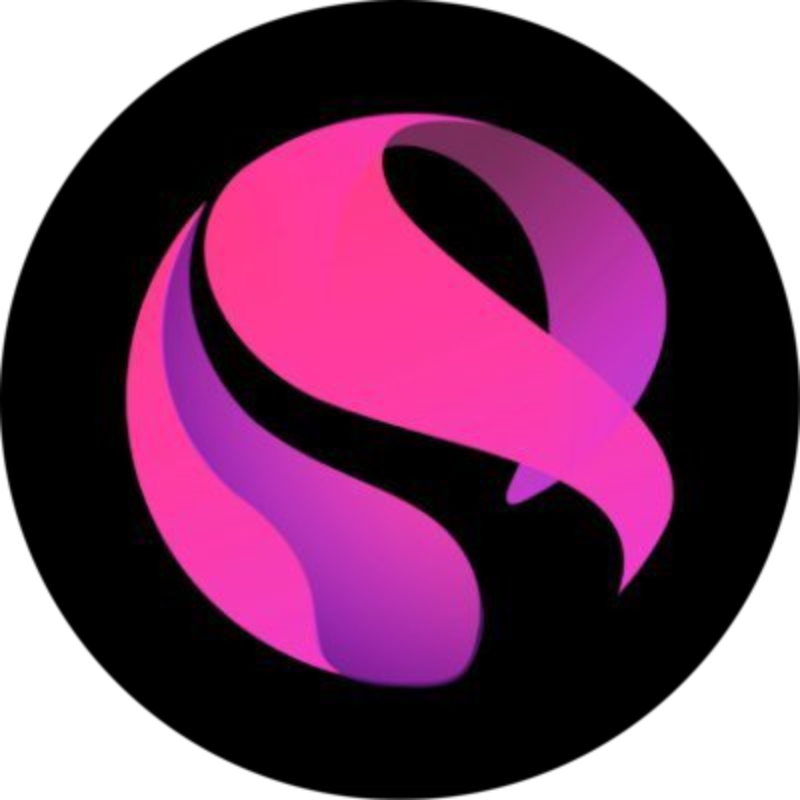 Skyrim Finance logo