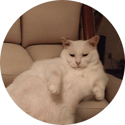 SofaCat logo