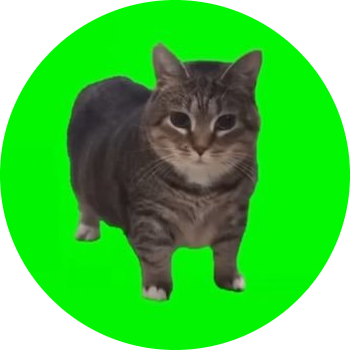spinning cat logo