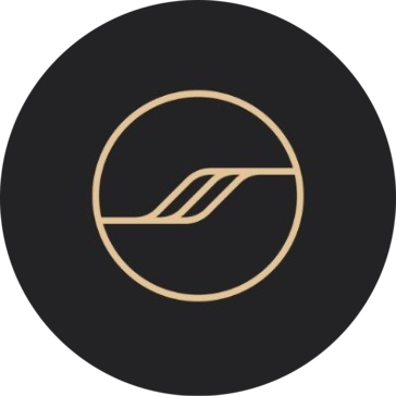 Stelsi logo
