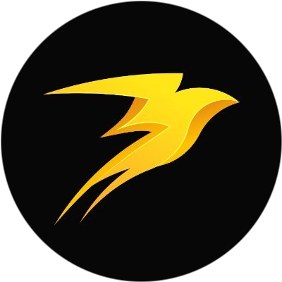 Storm Money logo