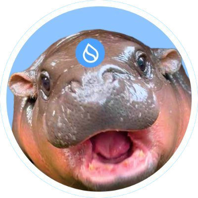 sudeng logo