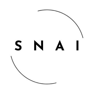 SwarmNode.ai logo
