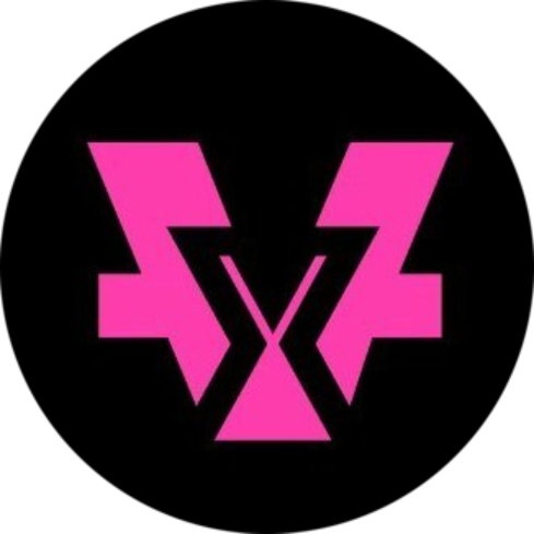 VidyX logo