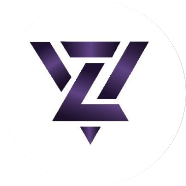 Virtual Coin logo