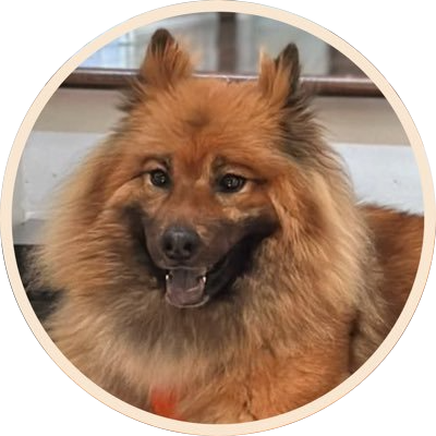 Vitalik's Dog logo
