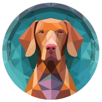 VizslaSwap logo
