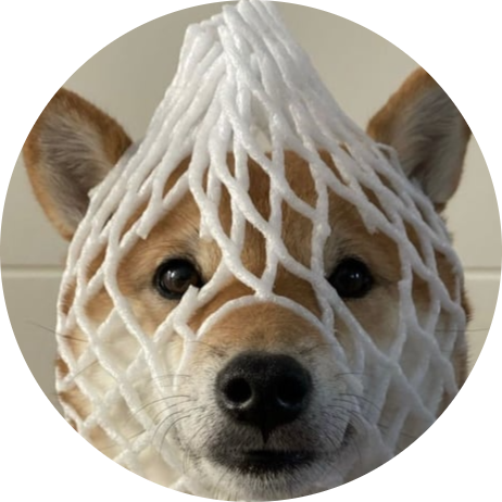 wrapped dog logo