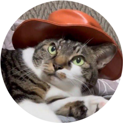 Сat wif hat logo